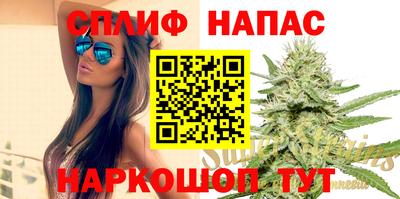 PSILOCYBIN Кинель