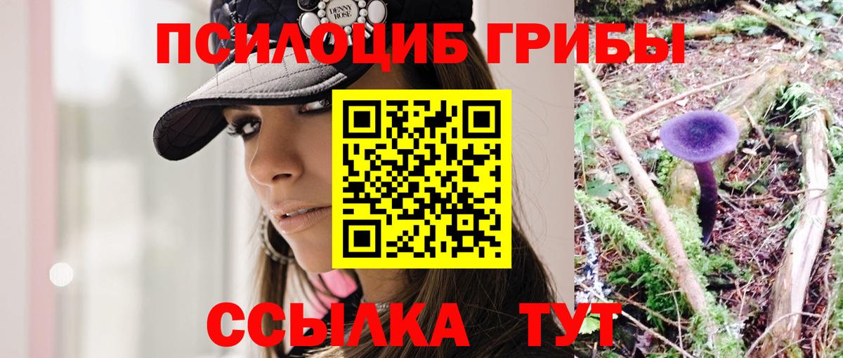 Галлюциногенные грибы GOLDEN TEACHER Котельники