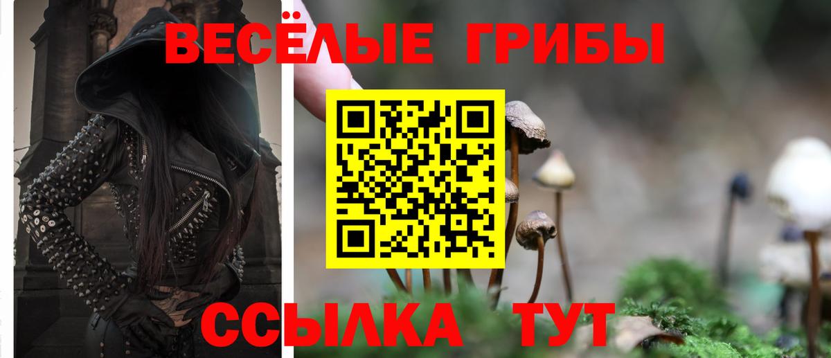 Котельники  Галлюциногенные грибы Cubensis  Вход с VPN 